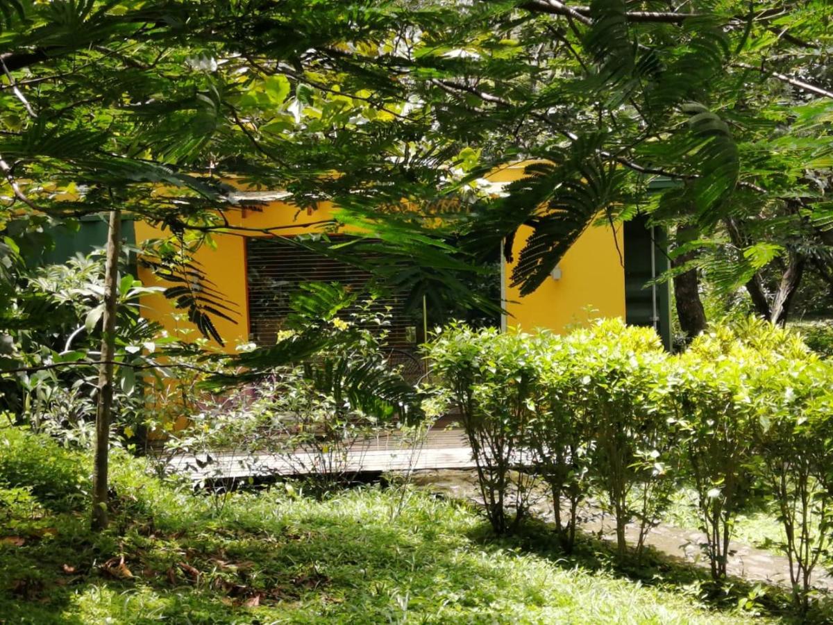 Casa Rural Aroma De Campo Curubande Exterior photo